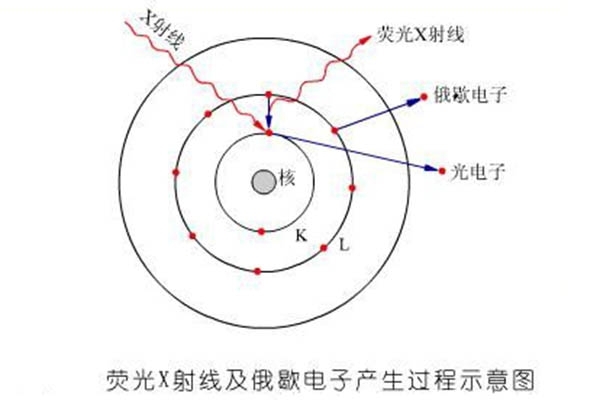 熒光X射線及俄歇電子產生過程示意圖